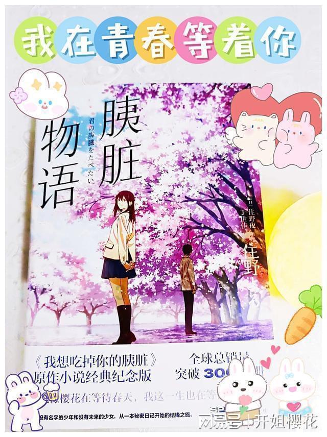 来自印度的狗妈妈和狗宝宝被救助感人的故事