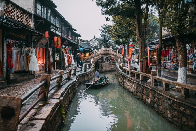 动物帮帮忙保卫家园