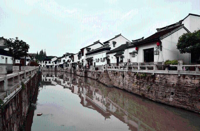 动物帮帮忙保卫家园